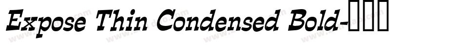 Expose Thin Condensed Bold字体转换